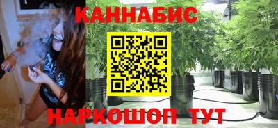 альфа пвп Владивосток