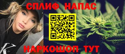 эйфоретик Владимир