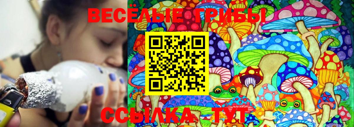 Галлюциногенные грибы прущие грибы  Псилоцибиновые грибы прущие грибы  Богородск  Вход с VPN 