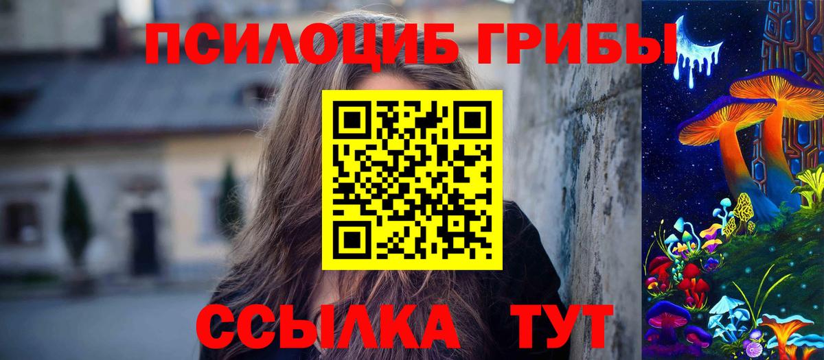Псилоцибиновые грибы Cubensis Богородск