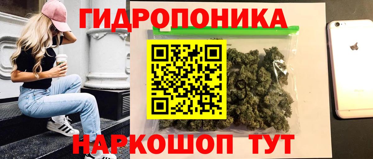 Каннабис ГИДРОПОН  Марихуана White Widow  Богородск  Вход с VPN  МАРИХУАНА White Widow  Канабис THC 21% 